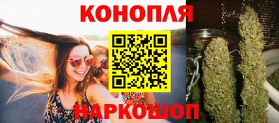 ALPHA PVP Гай