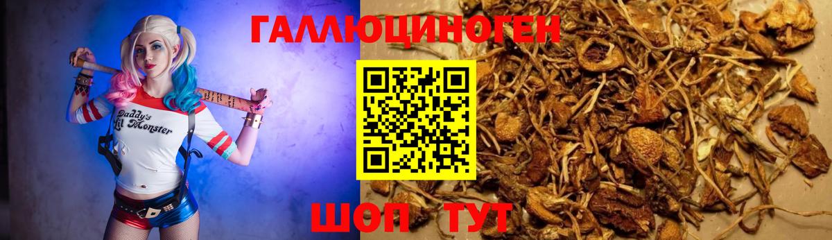 Псилоцибиновые грибы ЛСД  Вход с VPN  Галлюциногенные грибы MAGIC MUSHROOMS  Дагестанские Огни 
